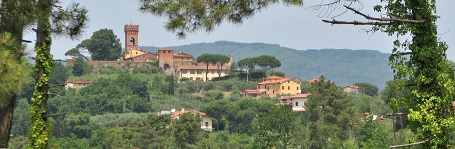 Montecarlo (Lucca) panorama
